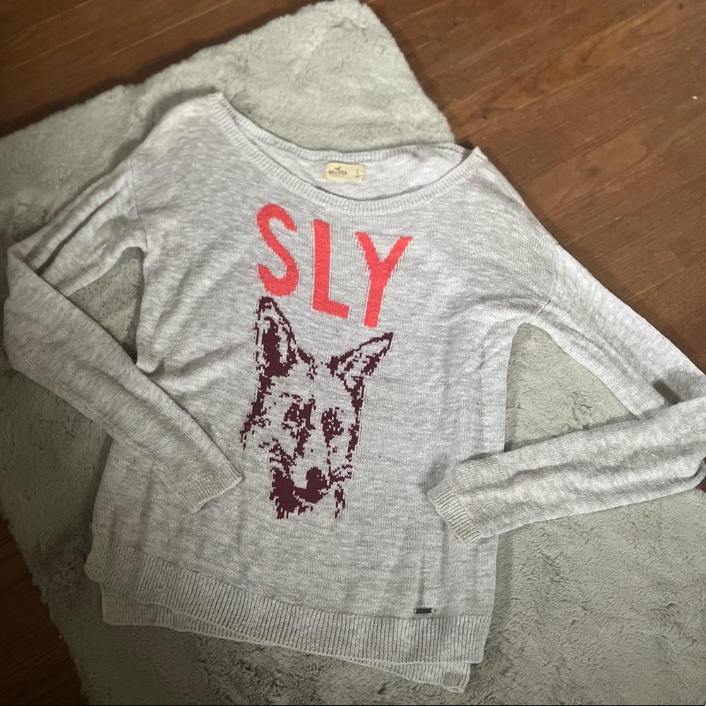 🦊 Hollister sly fox sweater